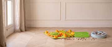 Snuffle mat, lick mat or slow feeder: which one does your dog need?