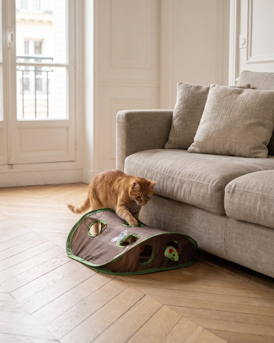 Un chat roux chasse dans le tapis cache-cache